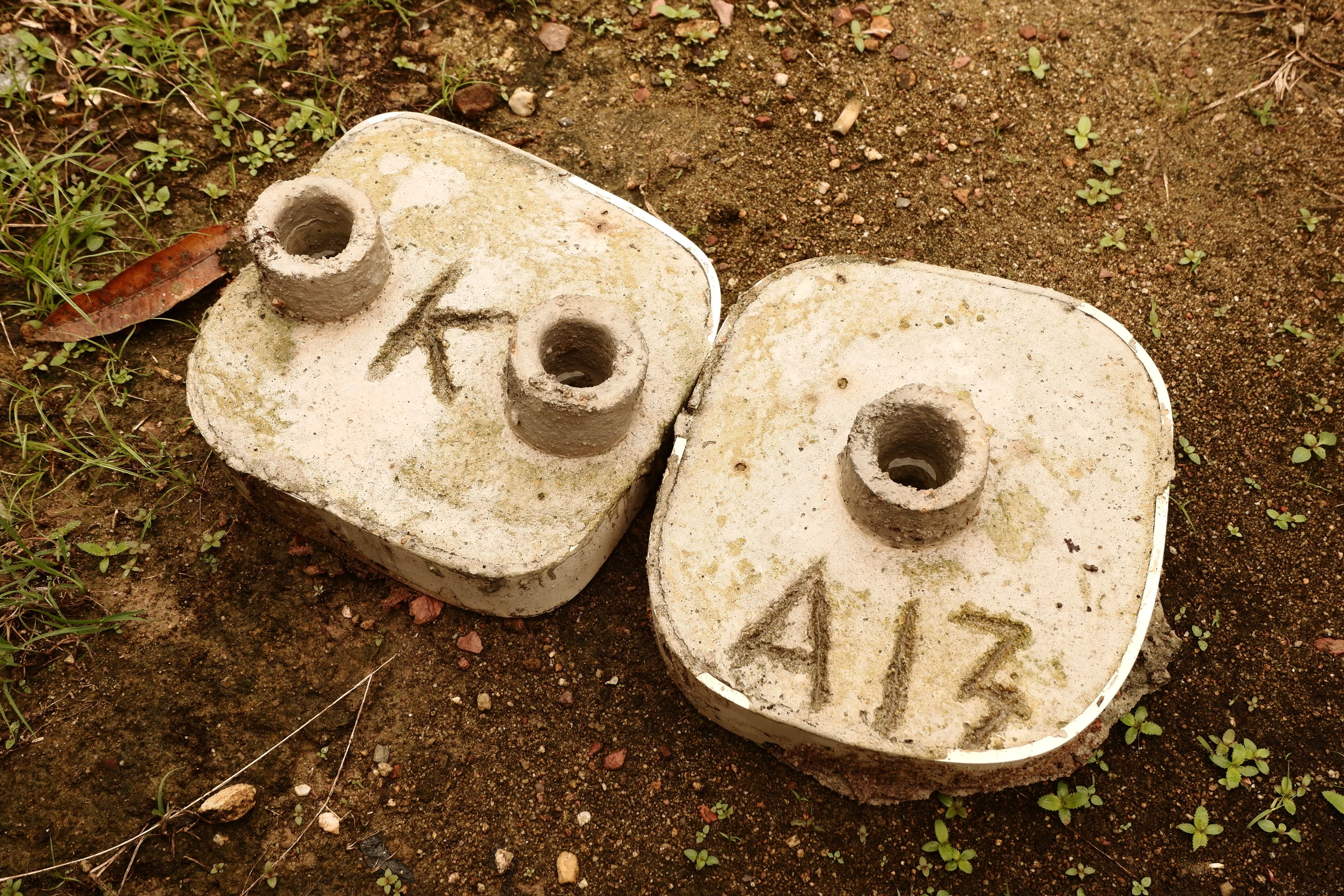 Gambar untuk Omah Karang Coral Planting